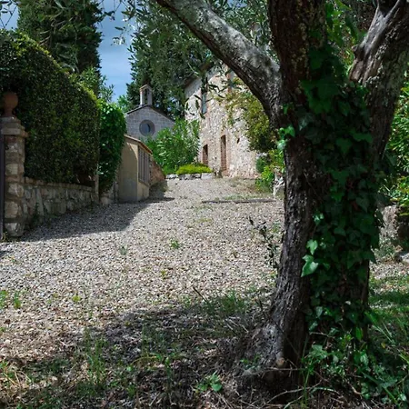 Due Leoni 카이오레인챠안티