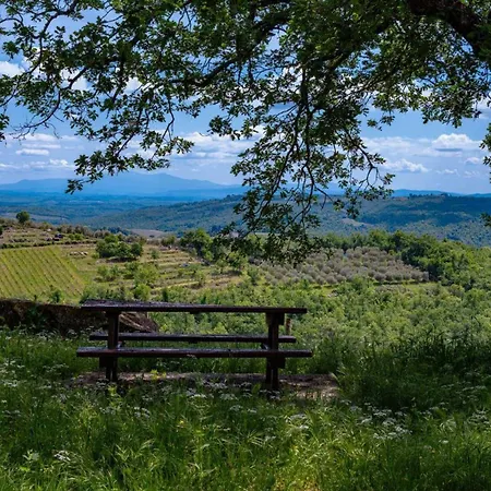 Tatil Evi Due Leoni